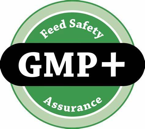 GMP (Good Manufacturing Practices)
